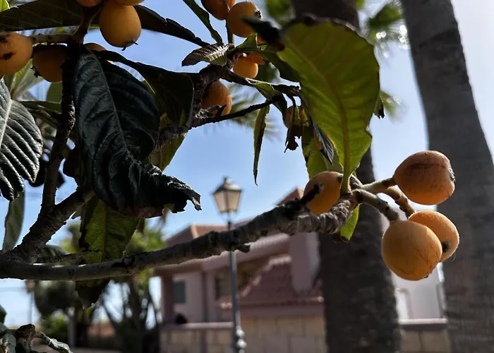 Casa La Quinta * Адехе