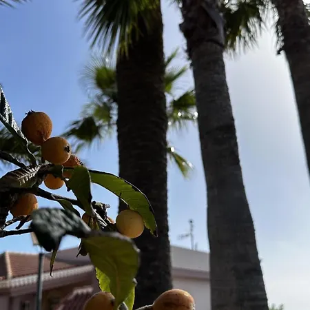 Casa La Quinta أذيخي