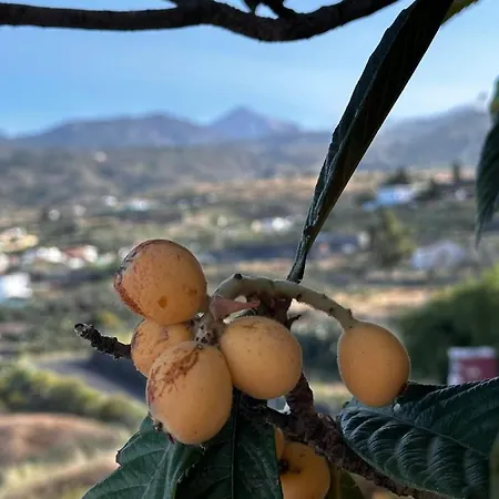 Tatil Evi Casa La Quinta *